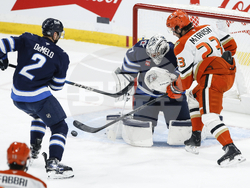 Ducks Jets Hockey