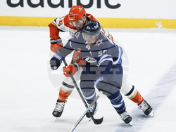 Ducks Jets Hockey