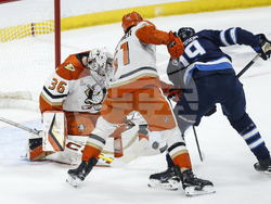 Ducks Jets Hockey