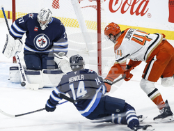 Ducks Jets Hockey