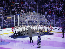 Ducks Jets Hockey