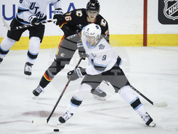 Utah Flames Hockey