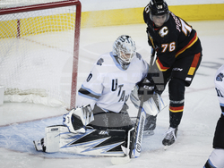 Utah Flames Hockey