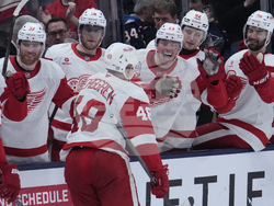 Red Wings Blue Jackets Hockey