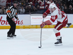 Red Wings Blue Jackets Hockey