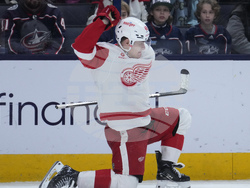 Red Wings Blue Jackets Hockey