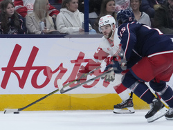 Red Wings Blue Jackets Hockey