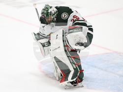Wild Capitals Hockey