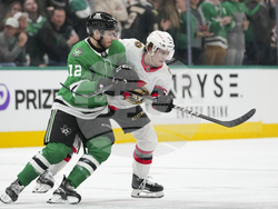 Senators Stars Hockey