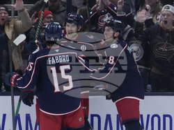 Red Wings Blue Jackets Hockey