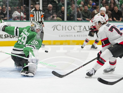 Senators Stars Hockey