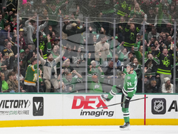 Senators Stars Hockey
