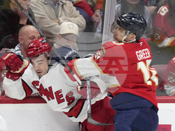 Hurricanes Panthers Hockey