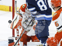 Ducks Jets Hockey