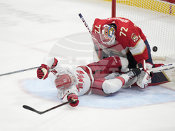 Hurricanes Panthers Hockey