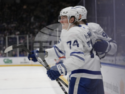 Maple Leafs Islanders Hockey
