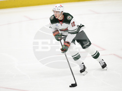 Wild Capitals Hockey