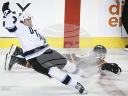 Utah Flames Hockey