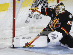 Utah Flames Hockey
