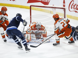 Ducks Jets Hockey