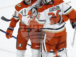 Ducks Jets Hockey