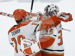 Ducks Jets Hockey