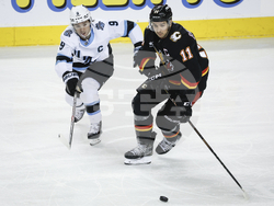 Utah Flames Hockey