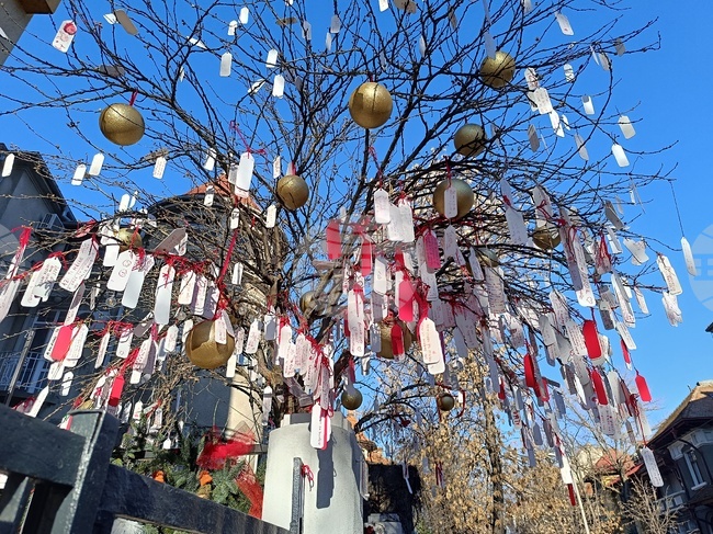 Дърво на желанията има в Букурещ 