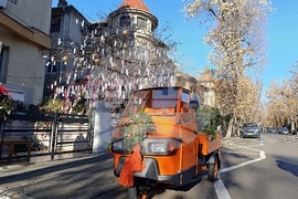 Румъния - дърво на желанията