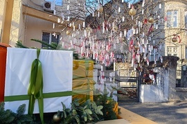 Румъния - дърво на желанията