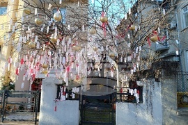 Румъния - дърво на желанията