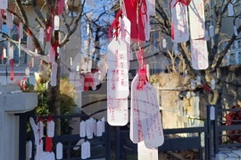 Румъния - дърво на желанията