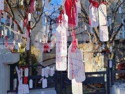 Румъния - дърво на желанията