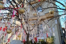 Румъния - дърво на желанията