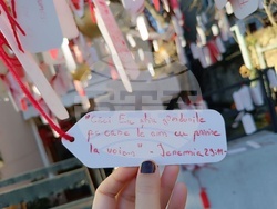 Румъния - дърво на желанията