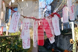 Румъния - дърво на желанията