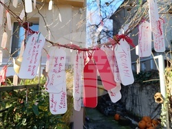 Румъния - дърво на желанията