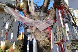 Румъния - дърво на желанията