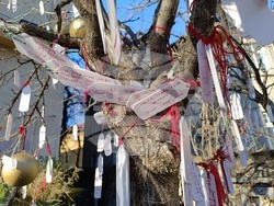 Румъния - дърво на желанията