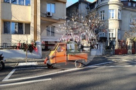 Румъния - дърво на желанията