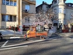 Румъния - дърво на желанията