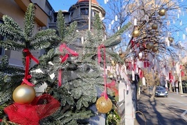 Румъния - дърво на желанията
