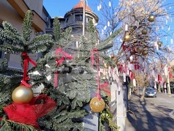 Румъния - дърво на желанията