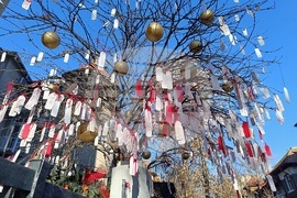Румъния - дърво на желанията