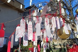 Румъния - дърво на желанията