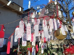 Румъния - дърво на желанията