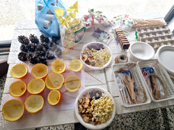 Село Черни Осъм - Троян - Природонаучен музей - деца - образователна инициатива