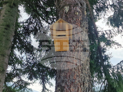 Село Черни Осъм - Троян - Природонаучен музей - деца - образователна инициатива