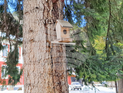 Село Черни Осъм - Троян - Природонаучен музей - деца - образователна инициатива