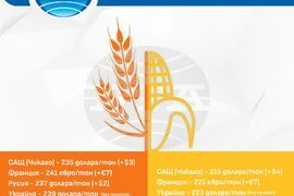 Цени на основните зърнени стоки - 31 декември - 3 януари